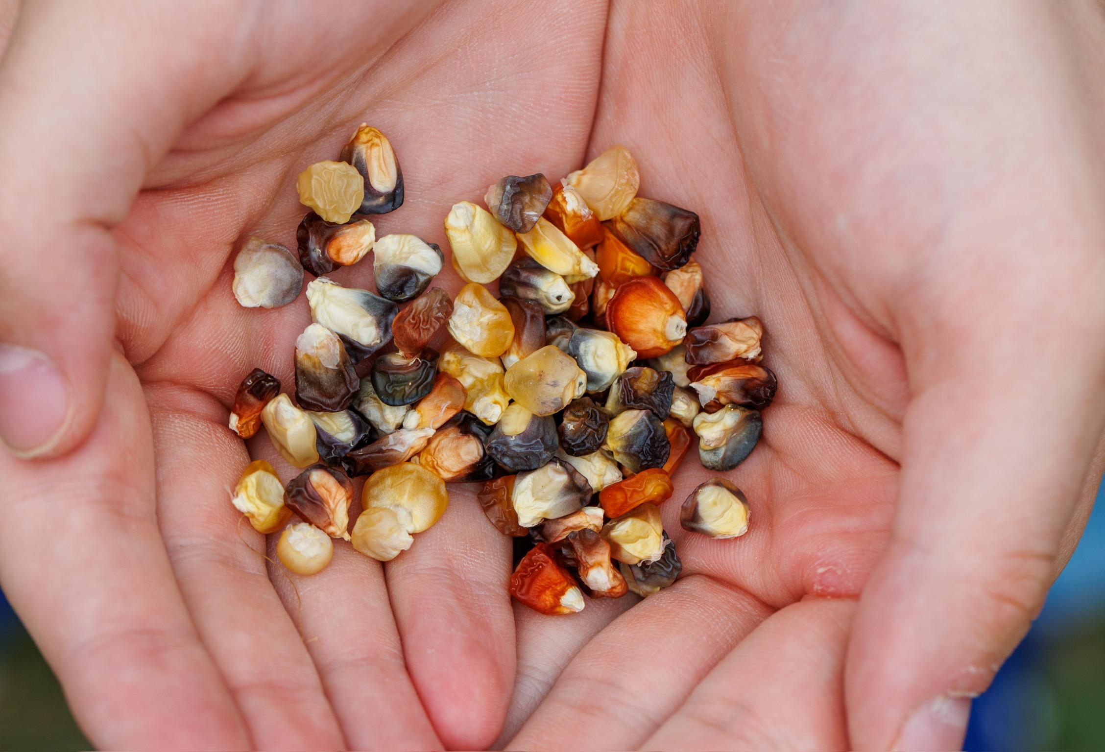 three sisters photos-10 (1).jpg