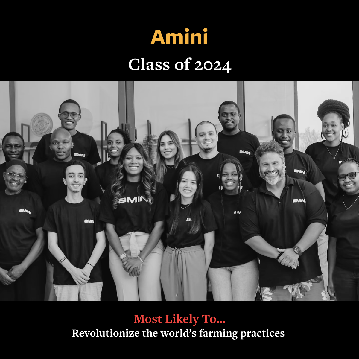 Amini.png