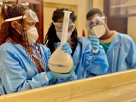 MIT Solve | Using Green Nanotech to Extend the Shelf Life of Produce: A ...